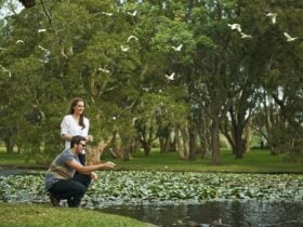 Centennial Parklands