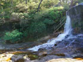 Charles Darwin walk