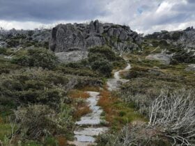 A section of stone track on Charlotte Pass Village to Perisher Valley walk.