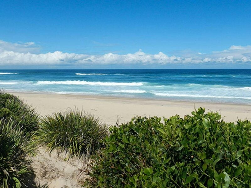 Cheesetree picnic area, Crowdy Bay National Park. Photo: Debby McGerty © OEH