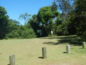 Cheesetree picnic area, Crowdy Bay National Park. Photo: Debby McGerty © OEH