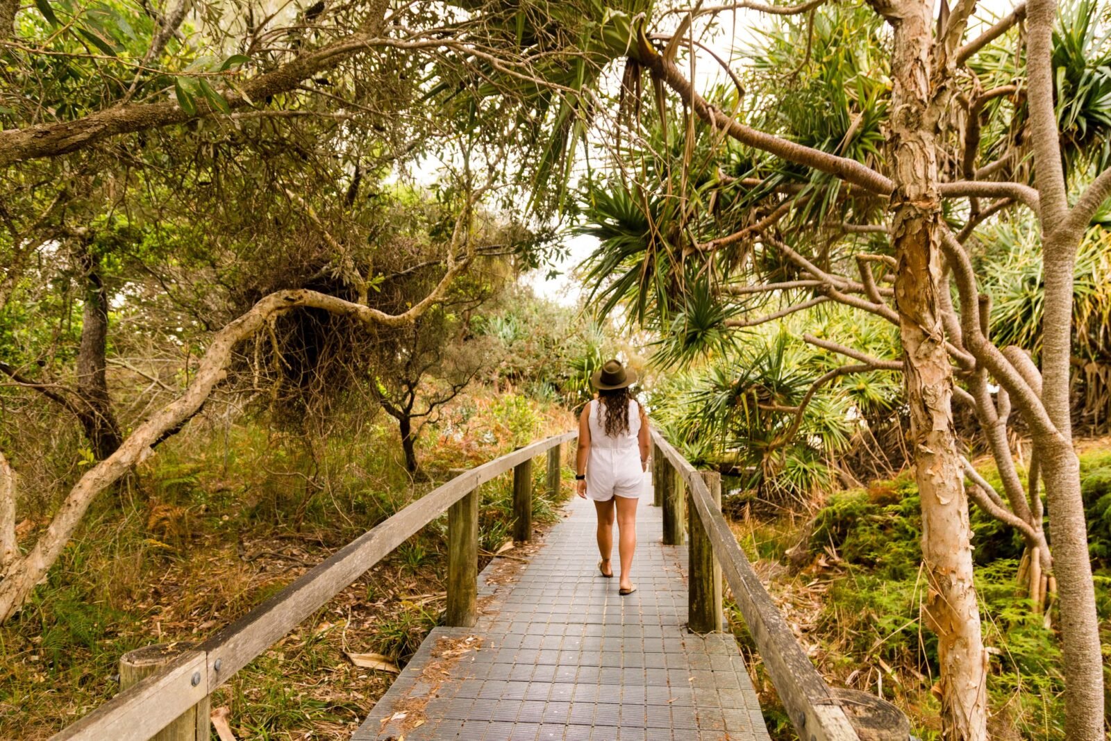 Lady walking down path in between coastal trees