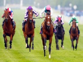 Dubbo City Turf Club