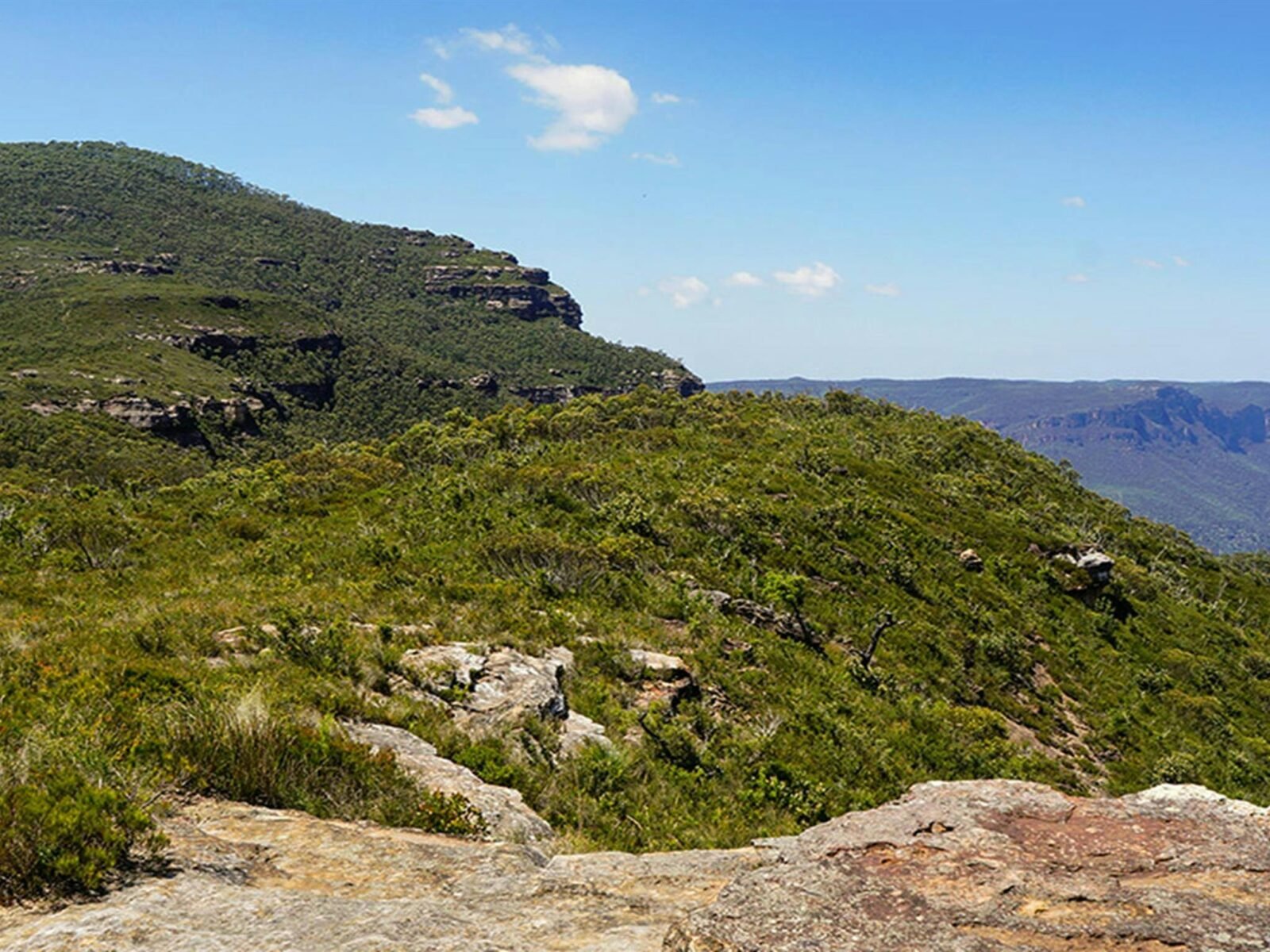 View of woodland, open heath and mountain peak, looking toward Claustral Canyon. Photo credit: