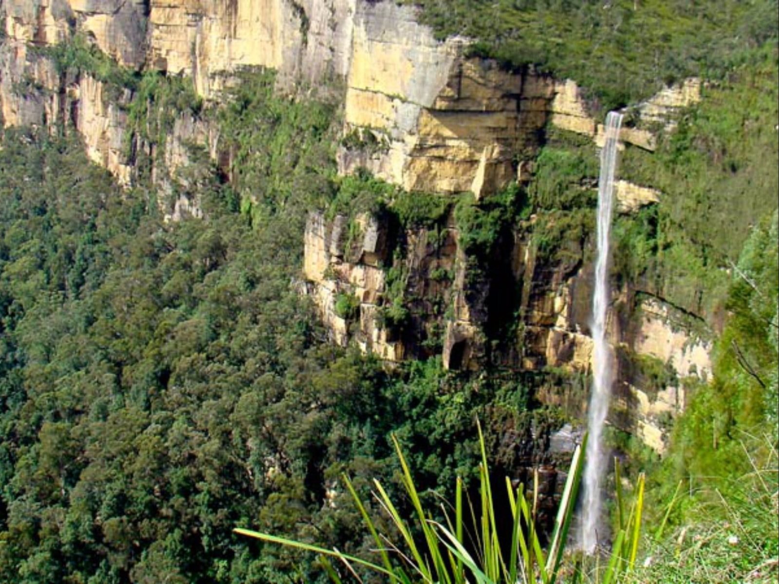 If youâre after an energetic walk while taking in the natural beauty of Blue Mountains National Park
