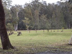 Callala Beach RSL Country Golf Club