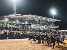 Racing at Club Menangle