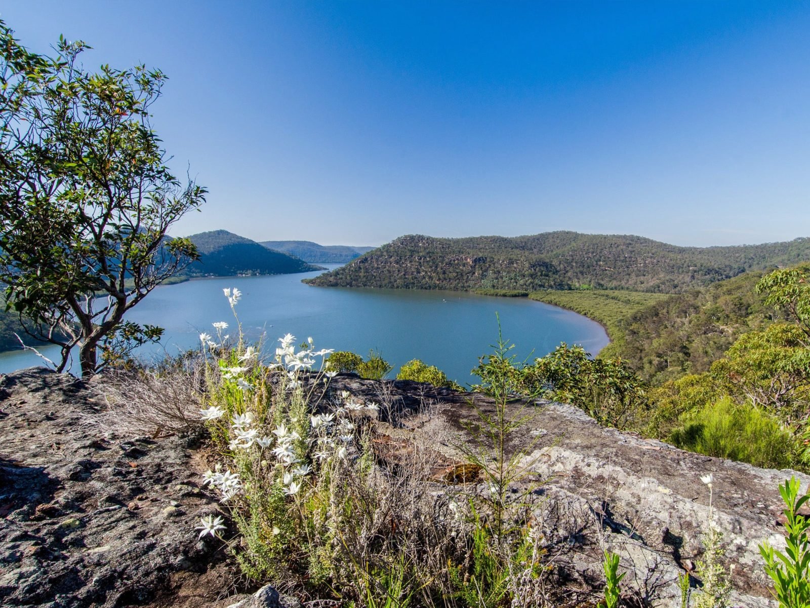 Coba Ridge to Collingridge Point walking track, Marramarra National Park