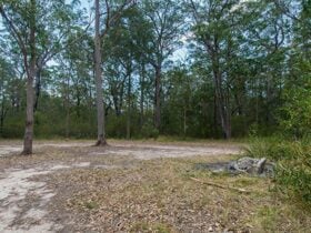 Cockatoo picnic area, Wallingat National Park. Photo: John Spencer