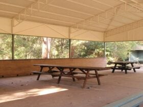 Commandment Rock picnic area shelter, Lane Cove National Park. Photo: Nathan Askey-Doran © DPIE
