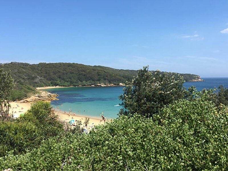View of Congwong Beach surrounded by coastal bushland. Photo: Natasha Webb/OEH.