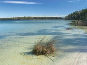 Clear water at Swan Lake, Conjola National Park. Photo: Michael Van Ewijk © DPIE