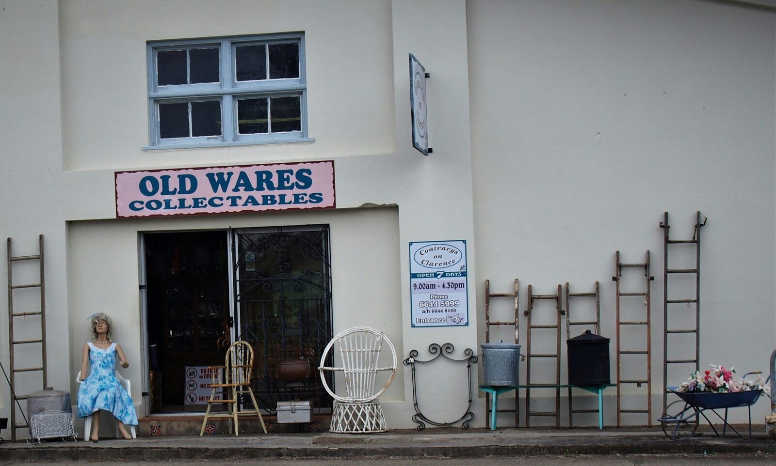 Contrarys on Clarence