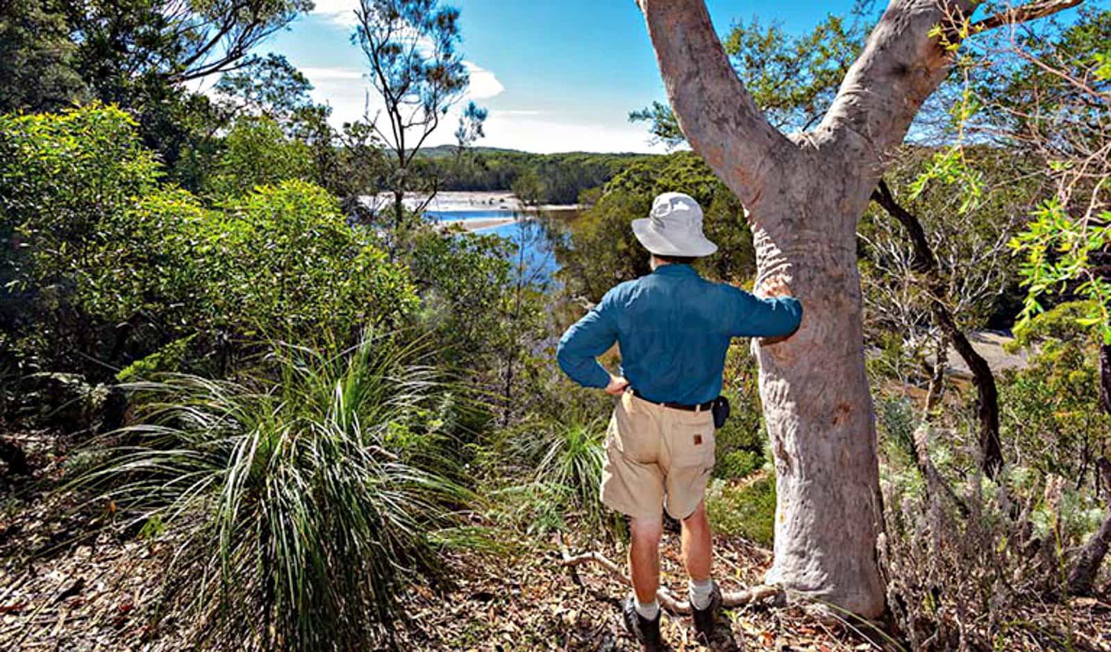 Corkwood and Scribbly Gum walking track, Yuraygir National Park. Photo: Rob Cleary