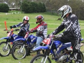 Training group
