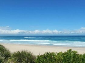 Beach view from Cheesetree picnic area. Photo: Debby McGerty © DPIE