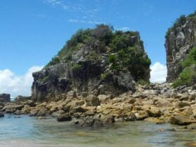 Diamond Head Beach, Crowdy Bay National Park. Photo: Debby McGerty © DPIE