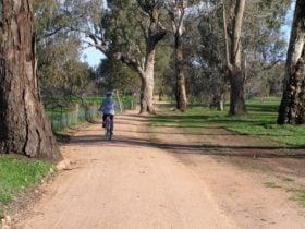 Person riding their bike along the dirt track with the Golf course on one side, trees on the other.