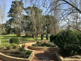 The sensory garden in Curry Reserve is maintained by Camden Council. With a variety of seasonal and ever green plantings, including edible herbs and citrus. The garden varies in appearance by season.