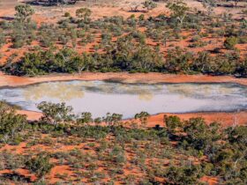Comeroo claypan, Cuttaburra National Park. Credit: Joshua Smith © DCCEEW