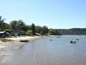Bradleys Beach, Dangar Island looking northwards