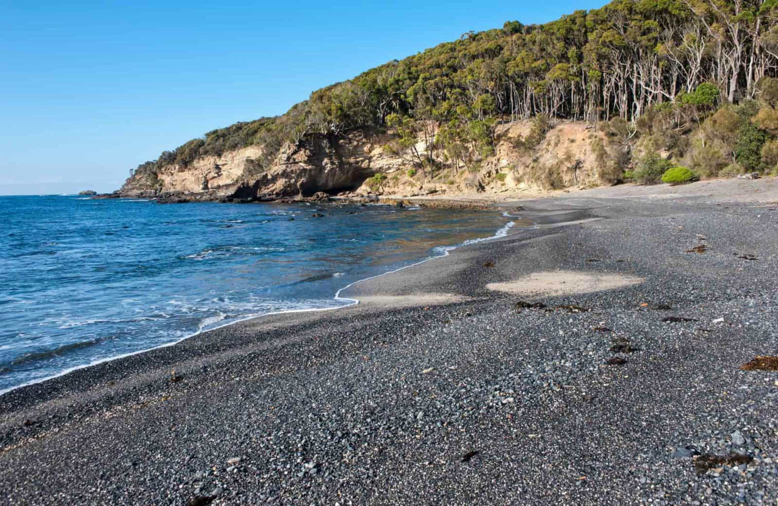 Darks Beach walking track, Murramarang National Park. Photo: Michael van Ewijk
