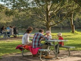 A family and a group of friends at picnic tables in Davidson Park picnic area and boat ramp, Garigal