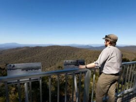 Hanging Mountain lookout scenery, Deua National Park. Photo: Lucas Boyd © DPIE
