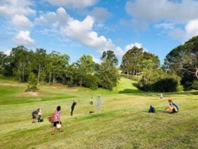Disc Golf