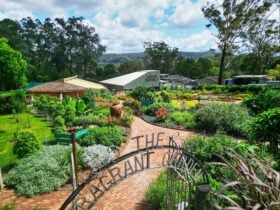Distillery Botanica with vibrant gardens, brick paths, lush greenery and surrounding bushland.