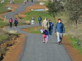 Dog on the Tucker Box Recreational Trail