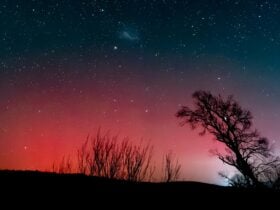Aurora over the Snowie's