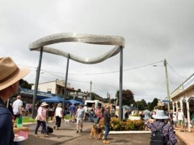 Street photo Dorrigo Handmade Markets