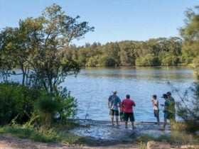 Double Wharf picnic area, Karuah National Park. Photo: John Spencer/NSW Government