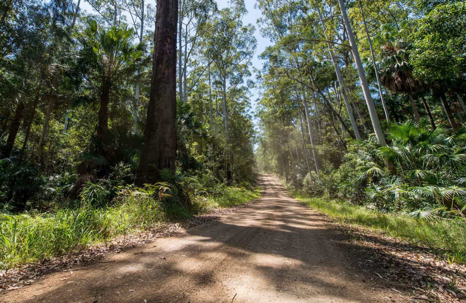Double Wharf to Whoota Whoota cycle loop, Wallingat National Park. Photo: John Spencer