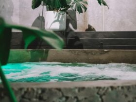 Day Spa Hot spa