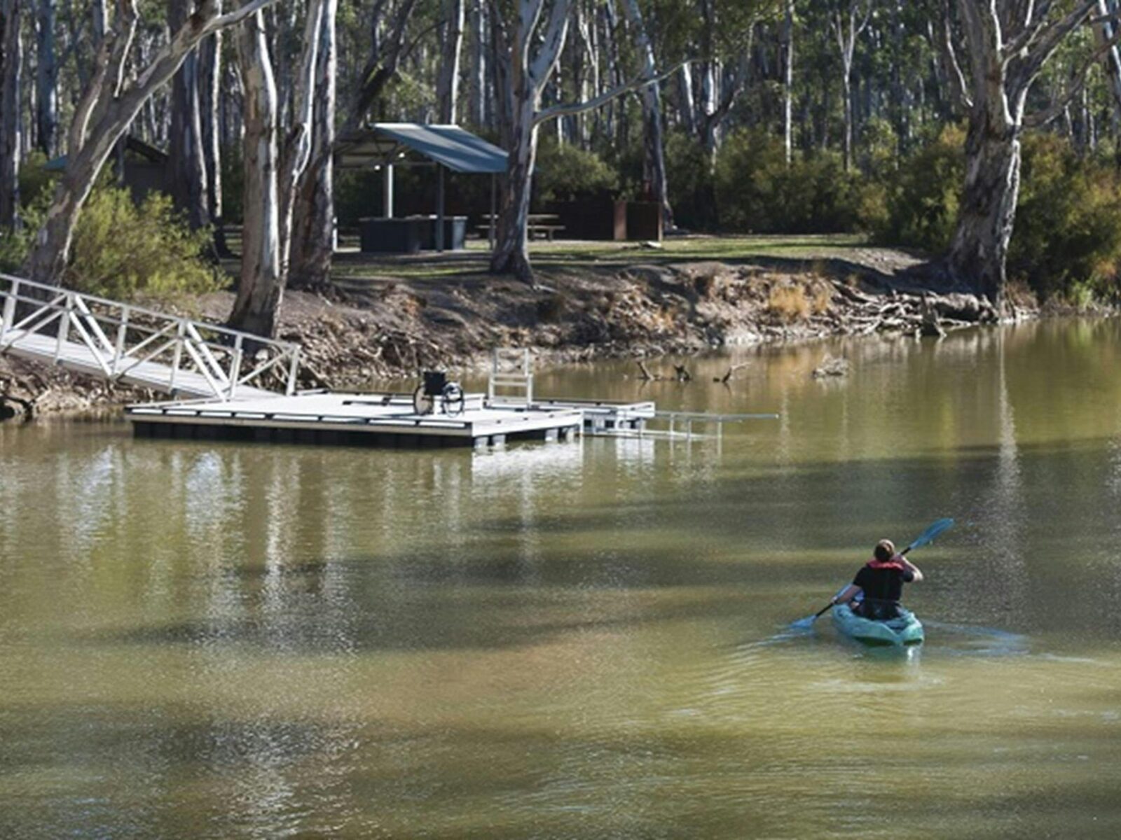 Man kayaking on Edward River, heading back to the kayak launch. Photo: Rhys Leslie/OEH