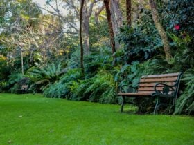 EG Waterhouse Camellia Gardens