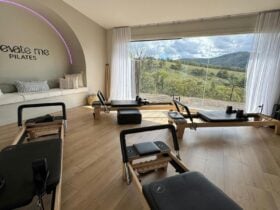 Reformer view