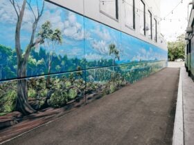 Visit Macleay Valley Coast Art Trail Elringtons Lane Kempsey