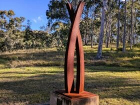 Entwined by Bob Teasdale at Dungog Common made of corten stel