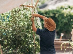 ErinEarth Garden Manager