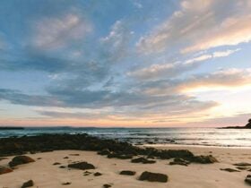 Sunset over a beach in Eurobodalla National Park. Photo: David Finnegan © DPIE