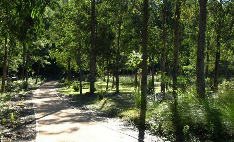 path