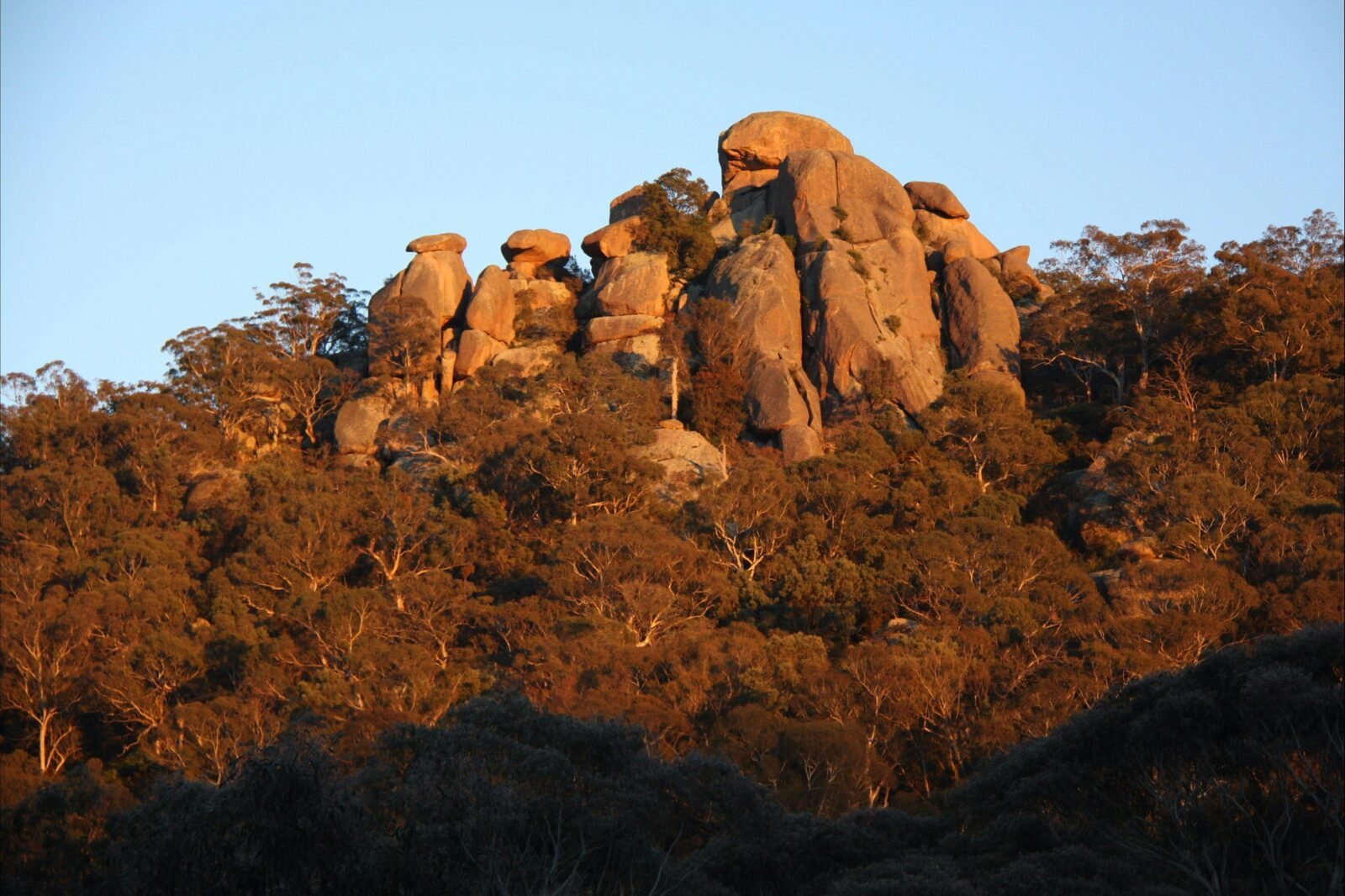 Evans Crown rock formation at Evans Crown Nature Reserve, Tarana, Blue Mountains