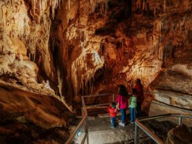 Visitors take in the textured walls of Fig Tree Cave. Credit: Remy Brand/DPE © Remy Brand