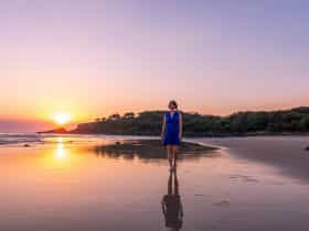 Fingal Beach - Tweed Area