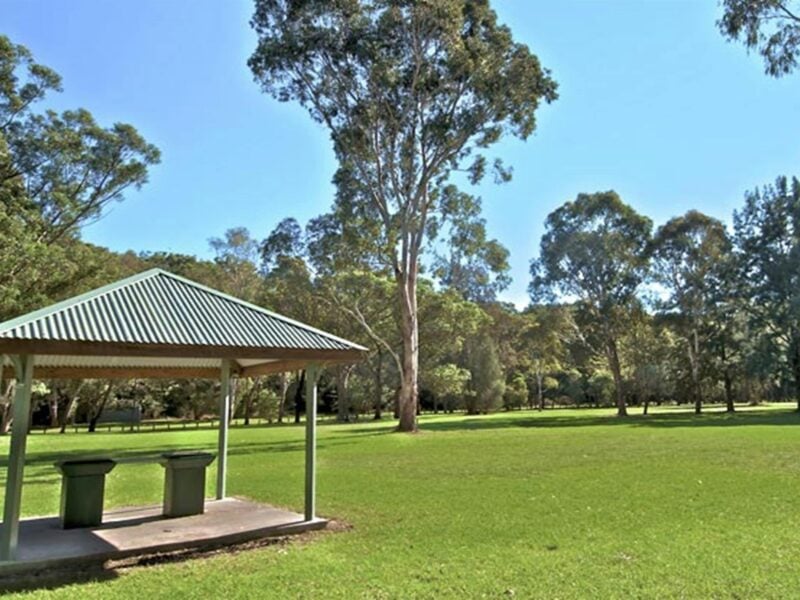 Fitzpatrick Park picnic area. Photo: John Spencer