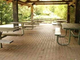 Fitzroy Falls picnic area, Morton National Park. Photo: John Yurasek/NSW Government