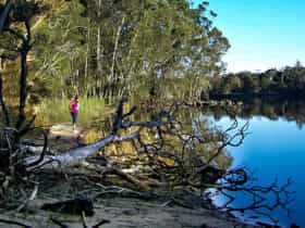 Knappinghat Creek, Five Islands Walking Track. Photo: Kevin Carter/NSW Government.